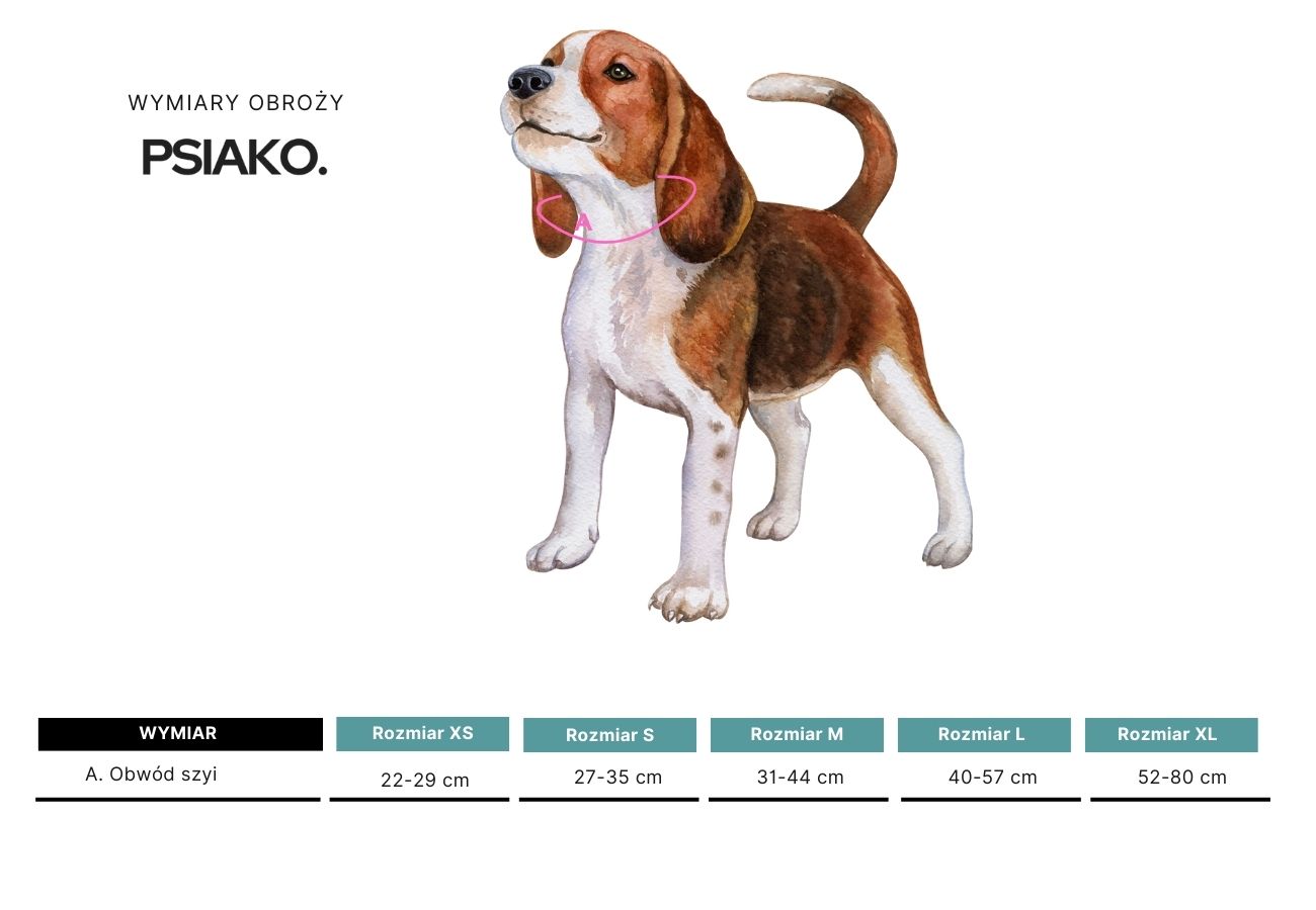 Jak zmierzyć psa do obroży — schemat pomiaru obwodu szyi